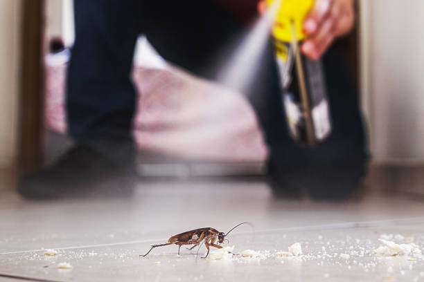 Best Pest Removal Services  in Wickerham Manor Fisher, PA