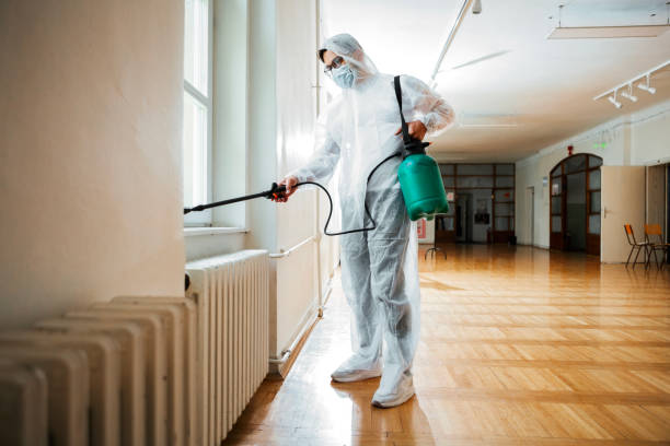 Best Termite Control Services  in Wickerham Manor Fisher, PA