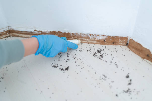 Best Affordable Pest Control Services  in Wickerham Manor Fisher, PA
